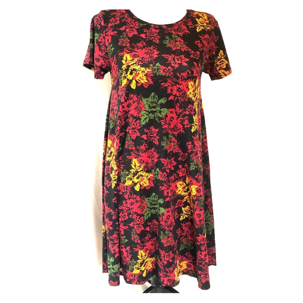 LulaRoe Carly Dress size XXS No Pocket